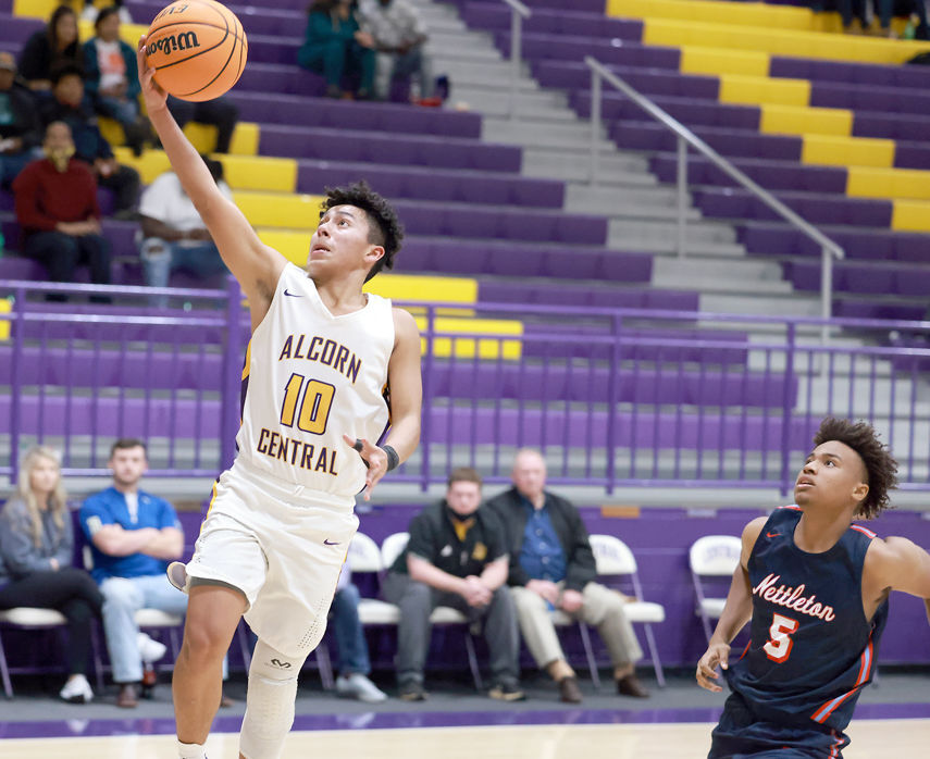 Golden Bears hope to advance